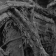 Image for article titled Shooting Challenge: Black & White 3